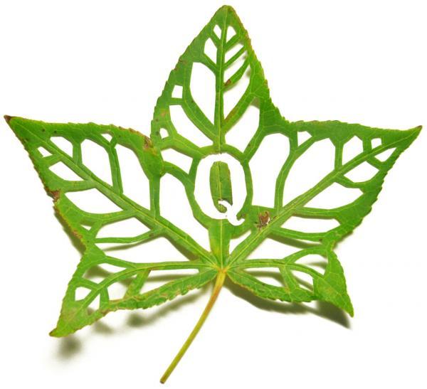 mei lin chan_4600_547