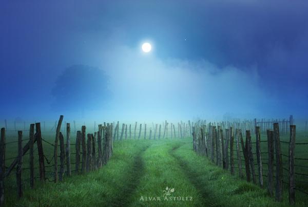 moonlight_by_Alvar Astulez 600_403