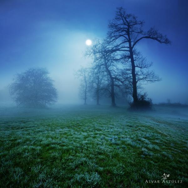 paisaje con niebla_by_Alvar Astulez 600_600