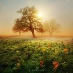 Landscape Photography by Alvar Astúlez