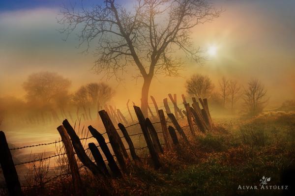 the fence2_by_Alvar Astulez 600_399