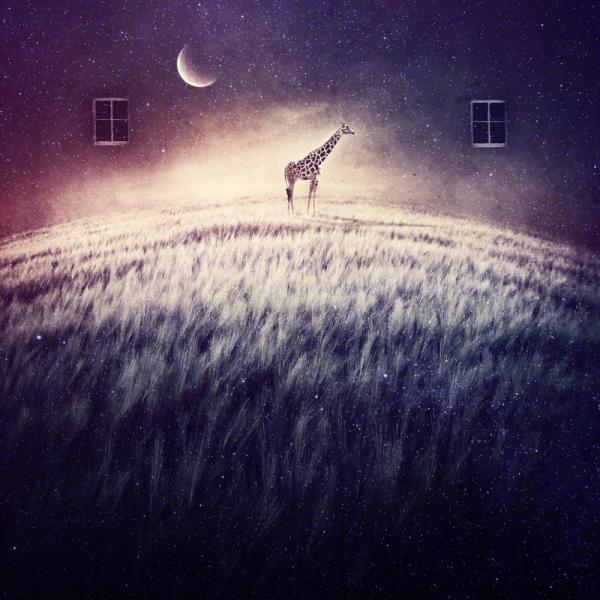 the_forgotten_one_by_blue_a600_600