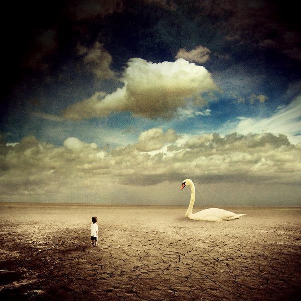 the_story_about_the_big_swan_by_blue_a600_600