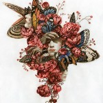 Illustrations by Tran Nguyen