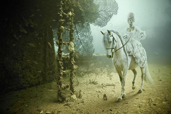 Andreas Franke_14600_400