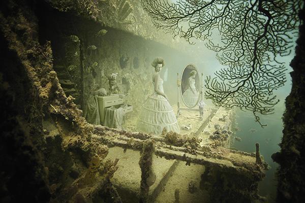 Andreas Franke_8600_400
