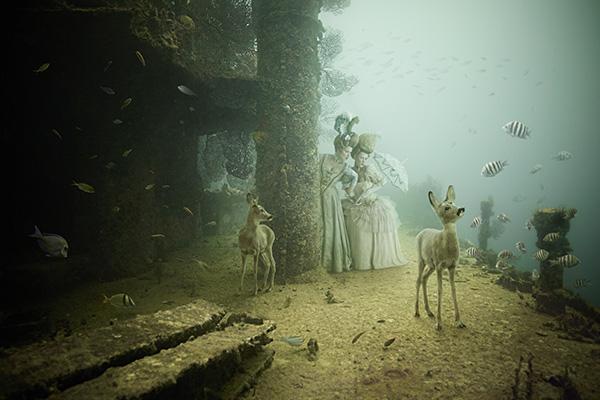 Andreas Franke_9600_400
