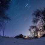 Snow Trees by Xu Jing