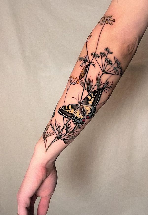Botanical and butterfly illustration tattoo Fennel and butterfly tattoo