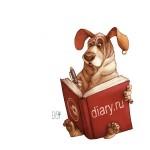 Whimsical Animal Illustrations by Erika