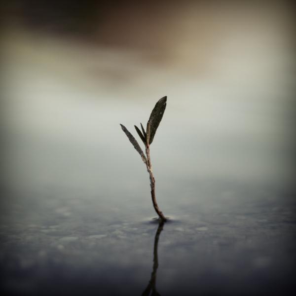 Jurgen Heckel_3600_600