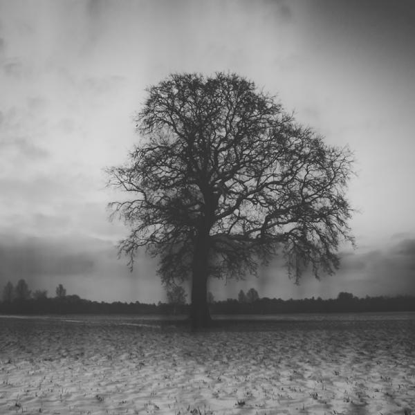 Jurgen Heckel_4600_600