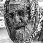 Pencil Art by Olga Melamory Larionova