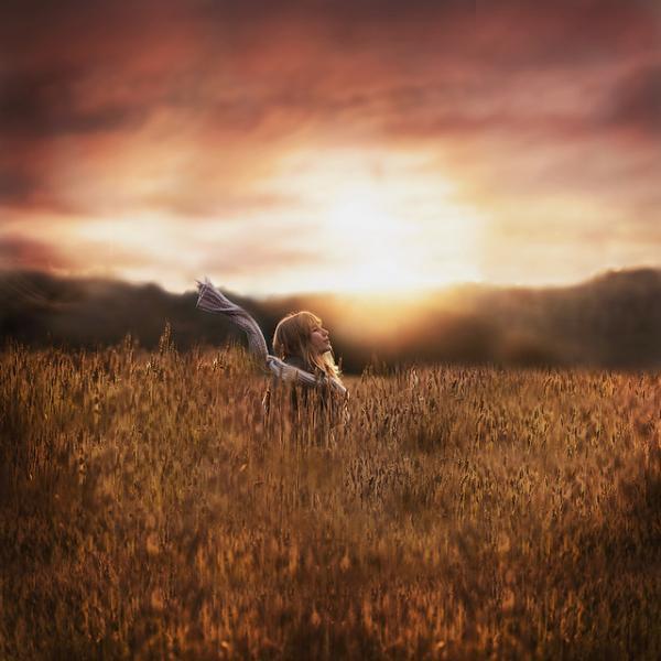 autumn sunrise_by_Vilde Indrehus600_600