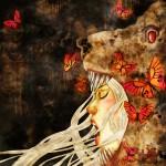 Illustrations by Khoa Le