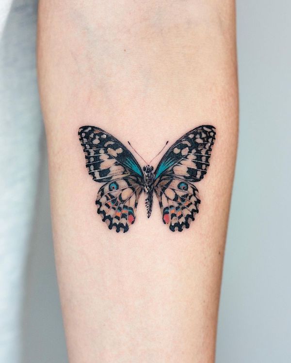 butterfly butterfly illustration tattoo with see-through wings 