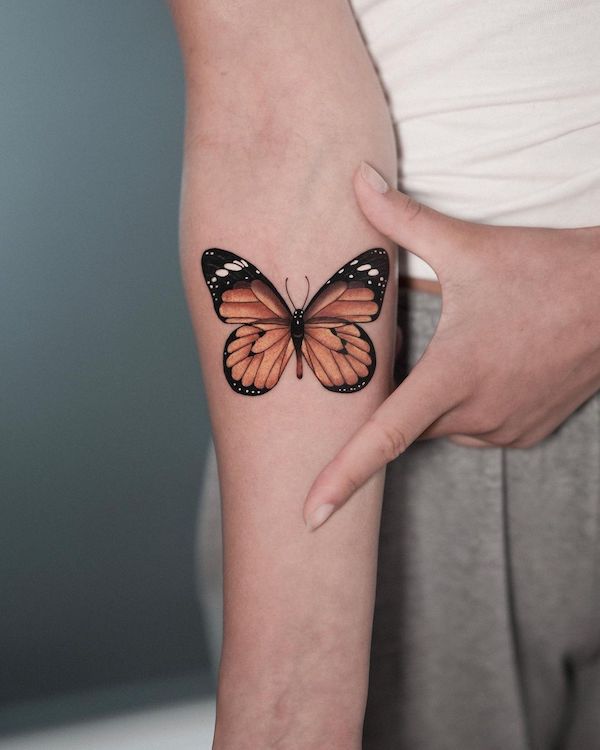 a single butterfly as broad as the inner elbow
