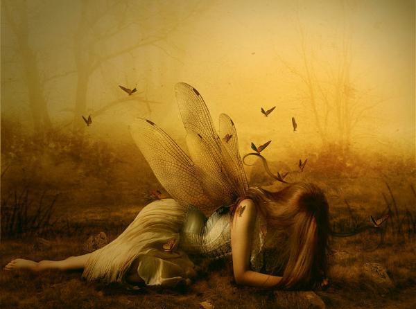 butterfly_queen_by_Lillucyka600_446