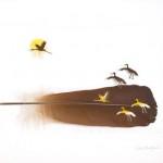Feather Art by Chris Maynard