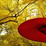 Photograph by david-plus-1