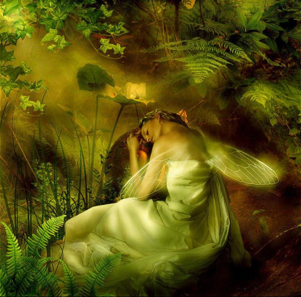 sleeping_fairy_by_Lillucyka600_593