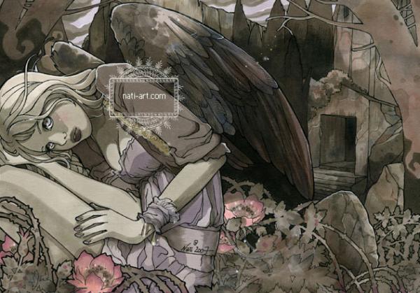 wild roses_by_Natalia Pierandrei600_419