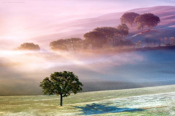 diferent view of tuscany_by_Adnan Bubalo600_400