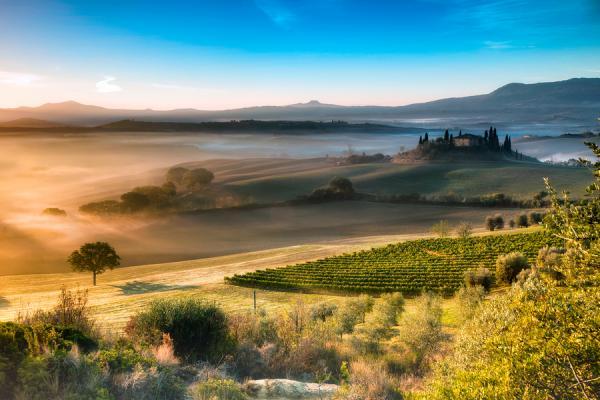 lonely tree_by_Adnan Bubalo600_400