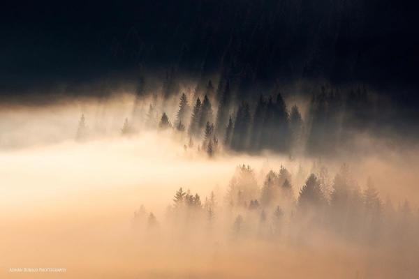 long shadows_by_Adnan Bubalo600_400