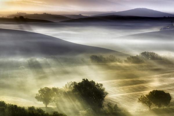 rays_by_Adnan Bubalo600_400