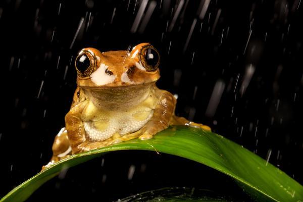 smile (2)_by_ Mark Bridger600_400