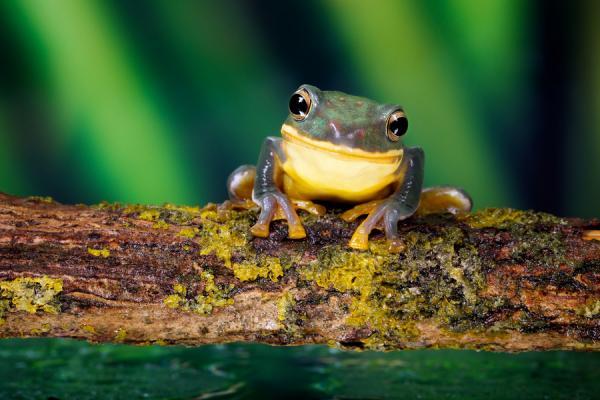 smile_by_ Mark Bridger600_400