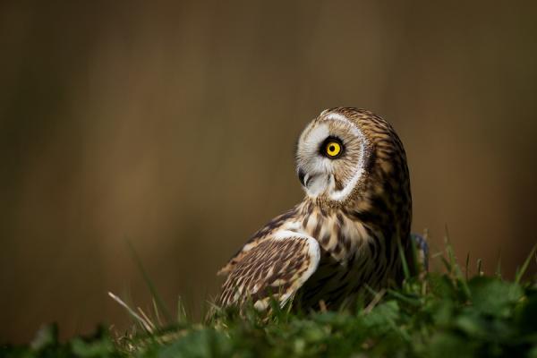taking a break_by_ Mark Bridger600_400