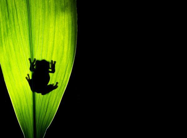 underneath_by_ Mark Bridger600_444