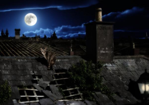 ville de nuit_by_Luigi Gallo600_423