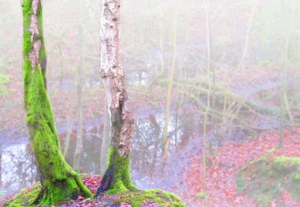 4_02_by_josephine richards600_414