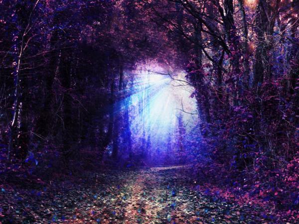 4_04_by_josephine richards600_450