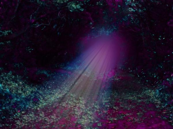 4_05_by_josephine richards600_450