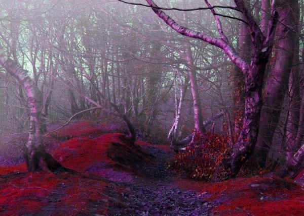 4_07_by_josephine richards600_428