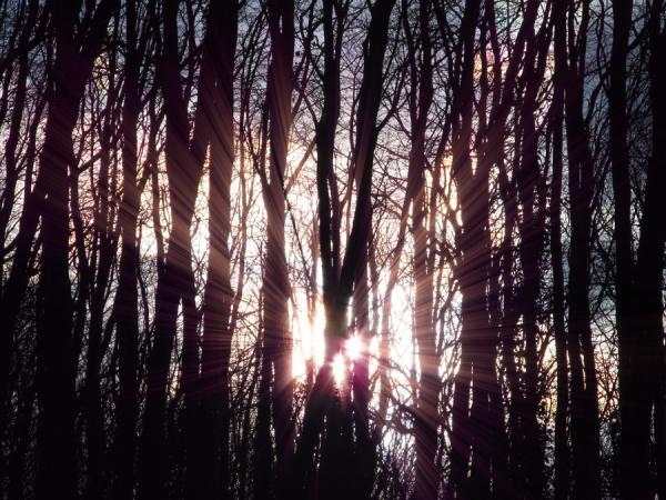 4_08_by_josephine richards600_450