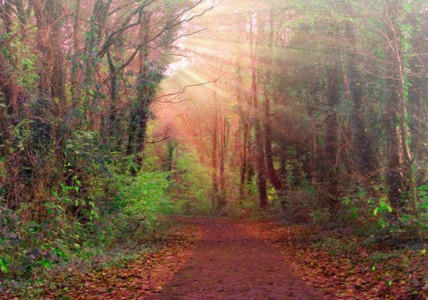 4_10_by_josephine richards600_421