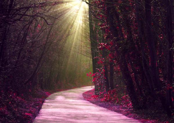 4_11_by_josephine richards600_423