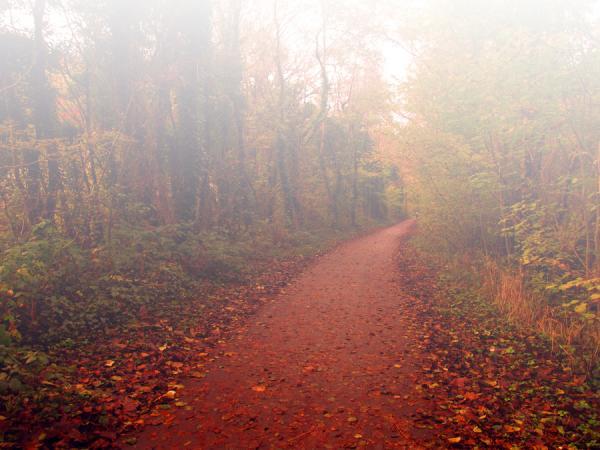 4_12_by_josephine richards600_450