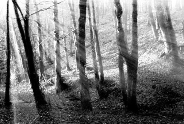 4_by_josephine richards600_404