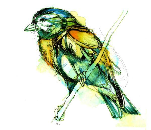 Watercolor Animals By Abby Diamond Art And Design Watercolor Animals By Abby Diamond Art And Design