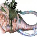 Illustrations by Brandon Keehner