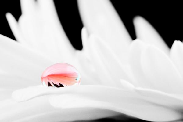 Mark Johnson_10600_398