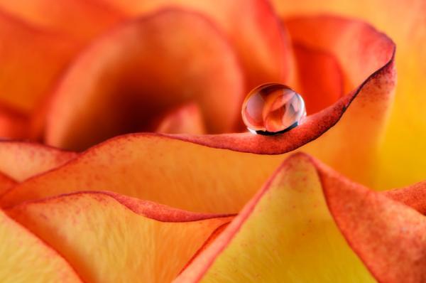 Mark Johnson_12600_398