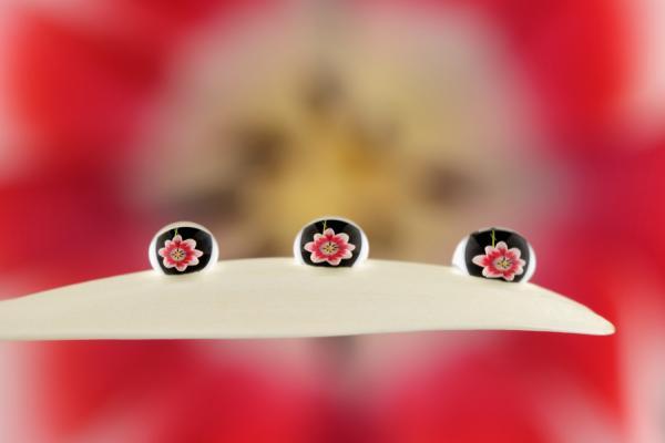 Mark Johnson_13600_400