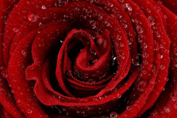 Mark Johnson_15600_400